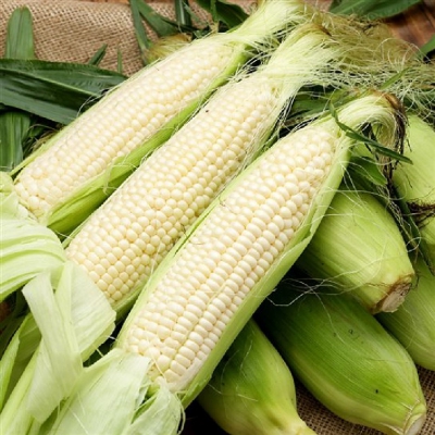 Bắp Nếp